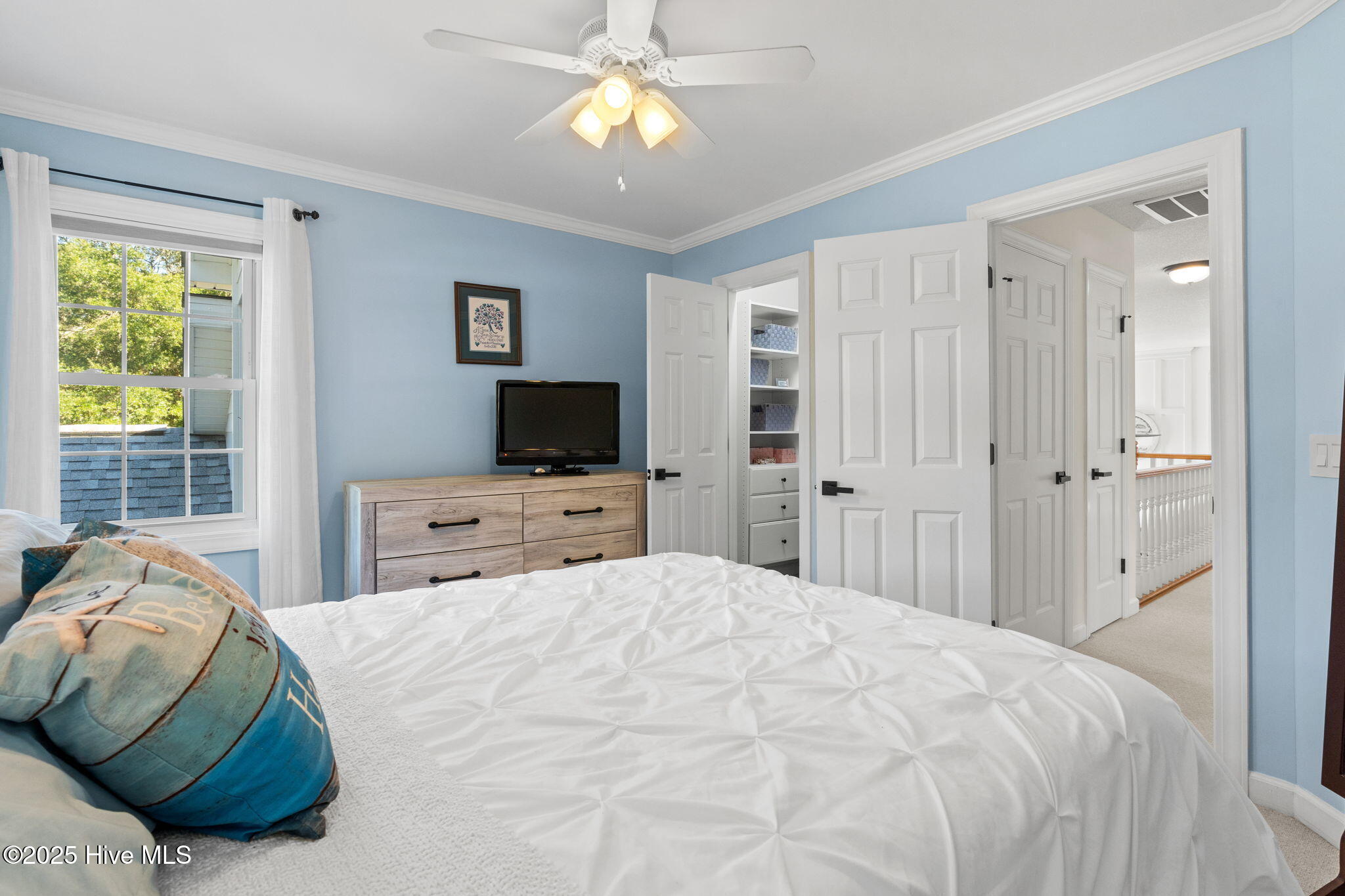 100537506 | Photo 40