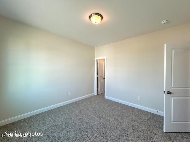 100553886 | Photo 41