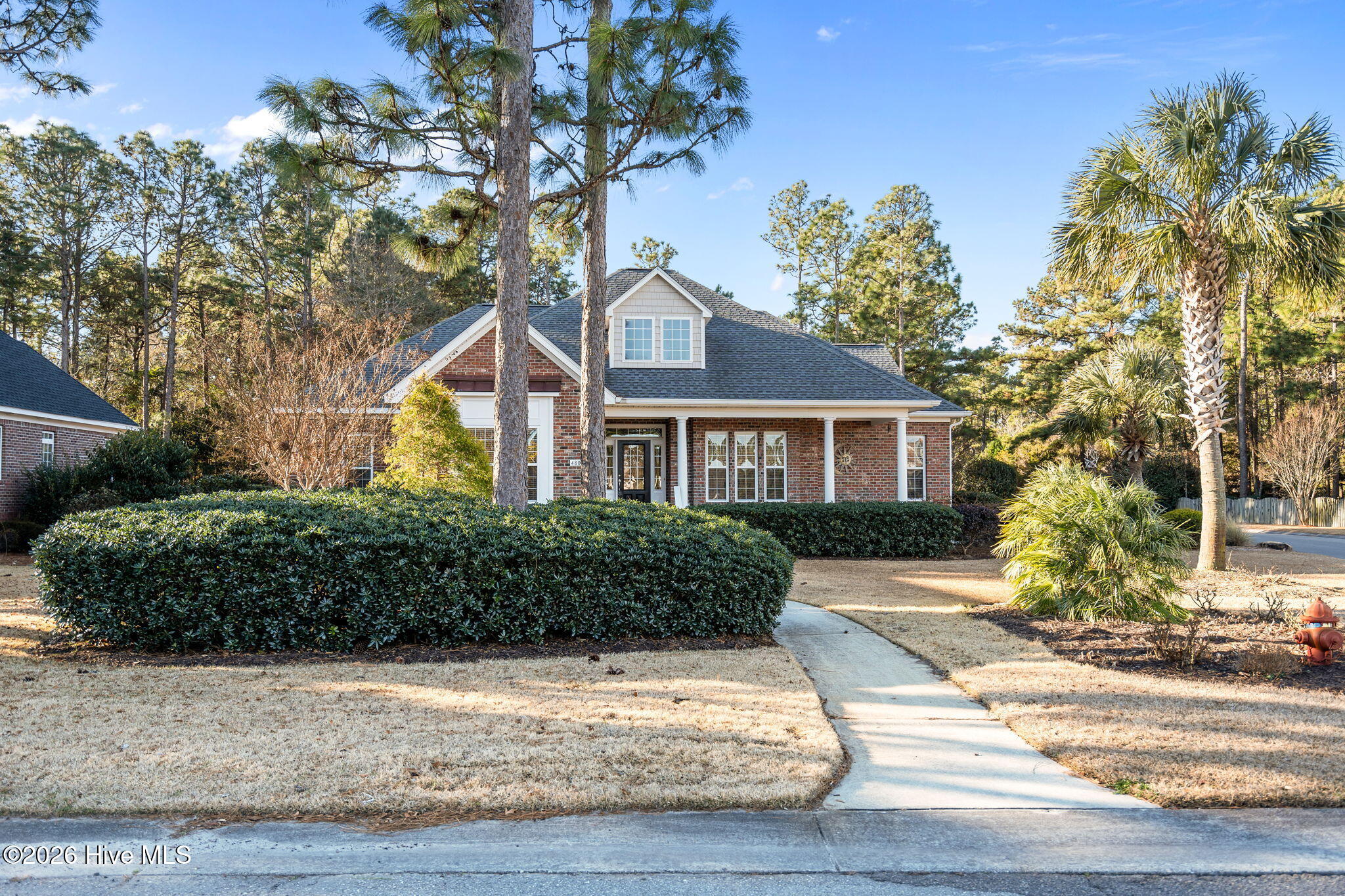 100552731 | Photo 78