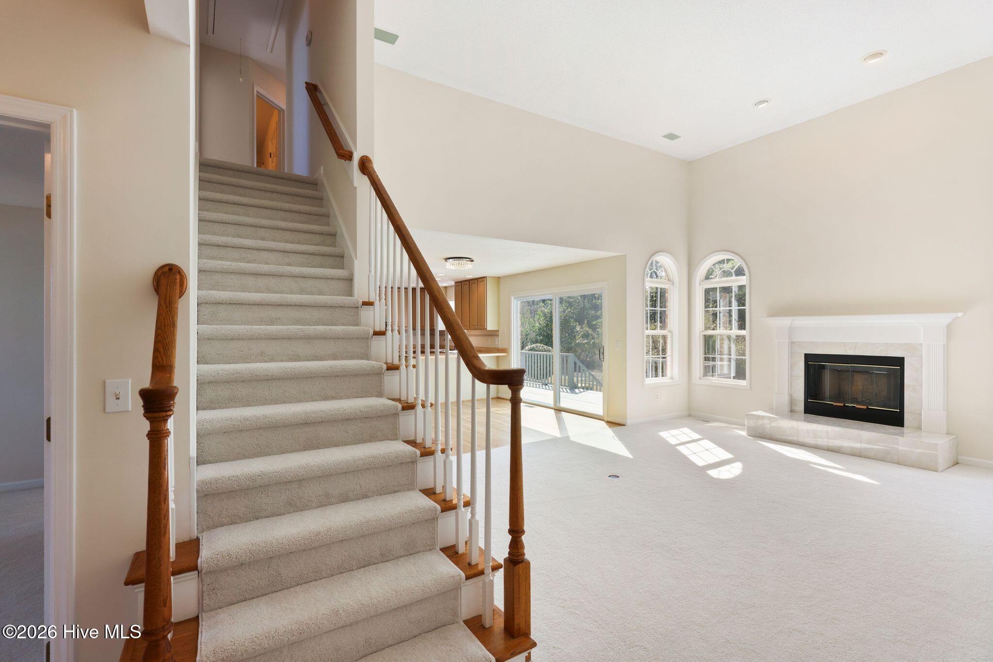 100558031 | Photo 11