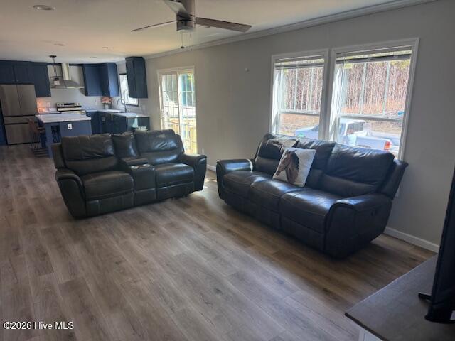 100555243 | Photo 26