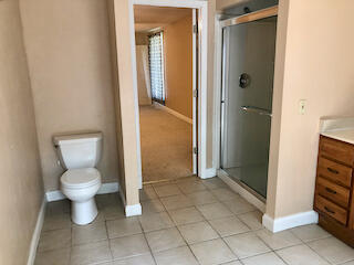 Owner's bathroom