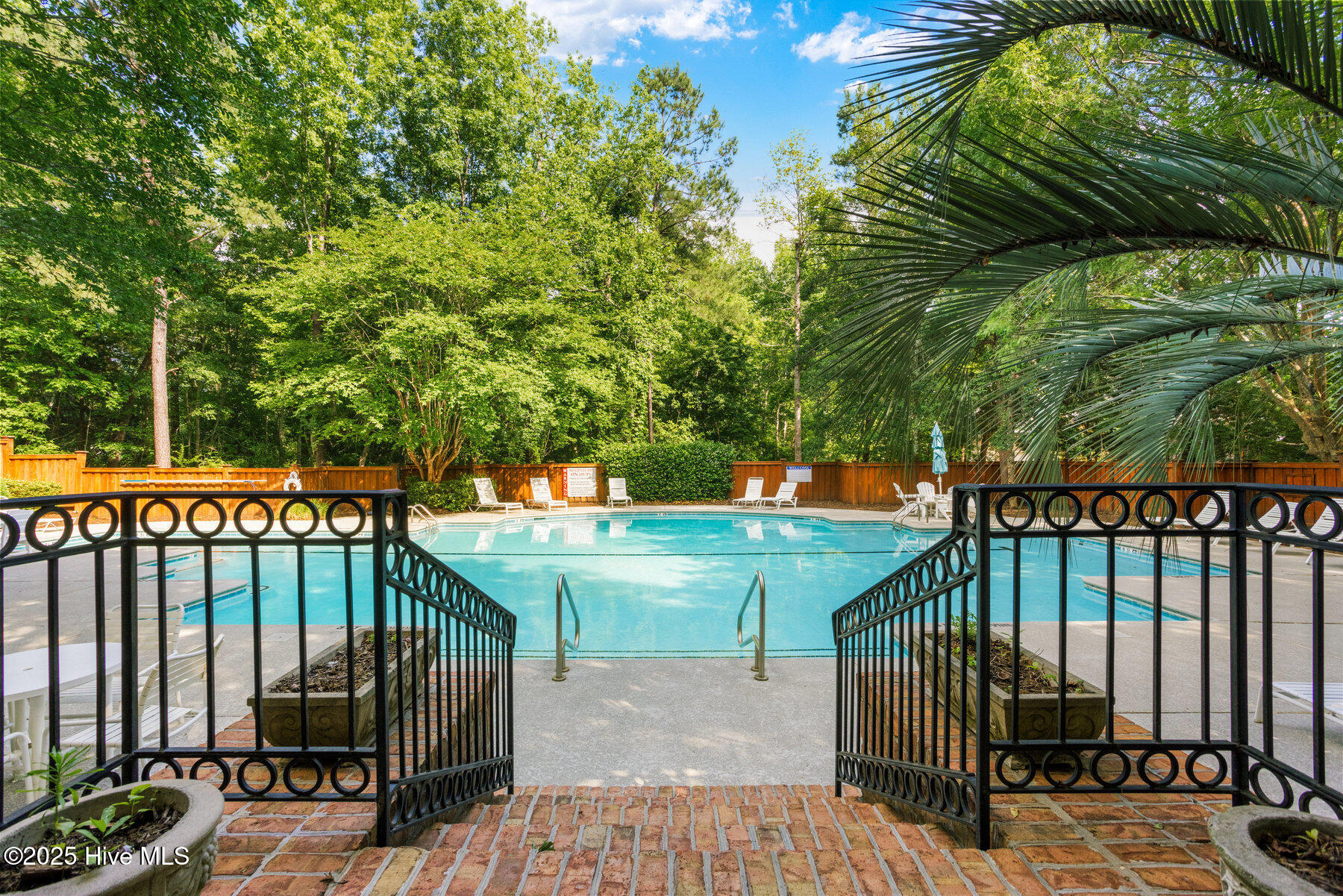 100495433 | Photo 47