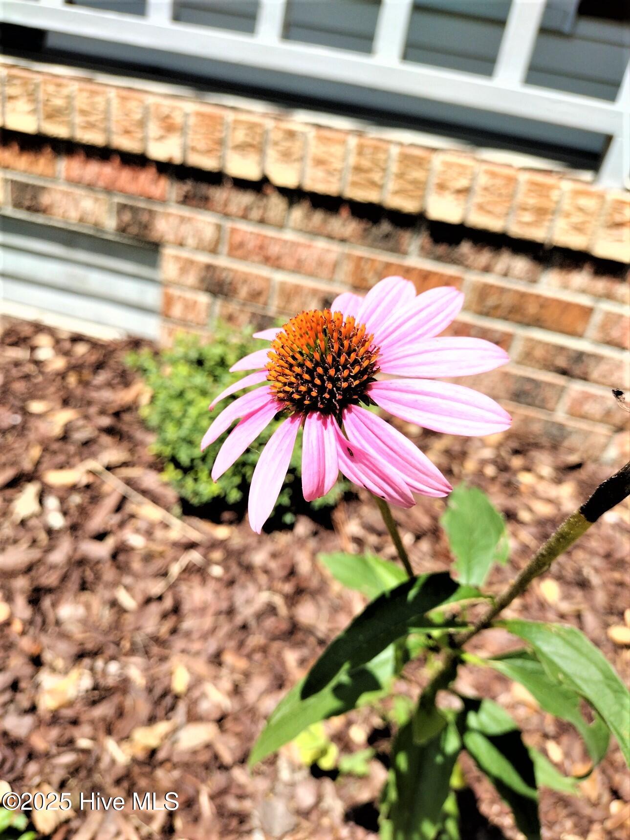 IMG_20230801_115954499