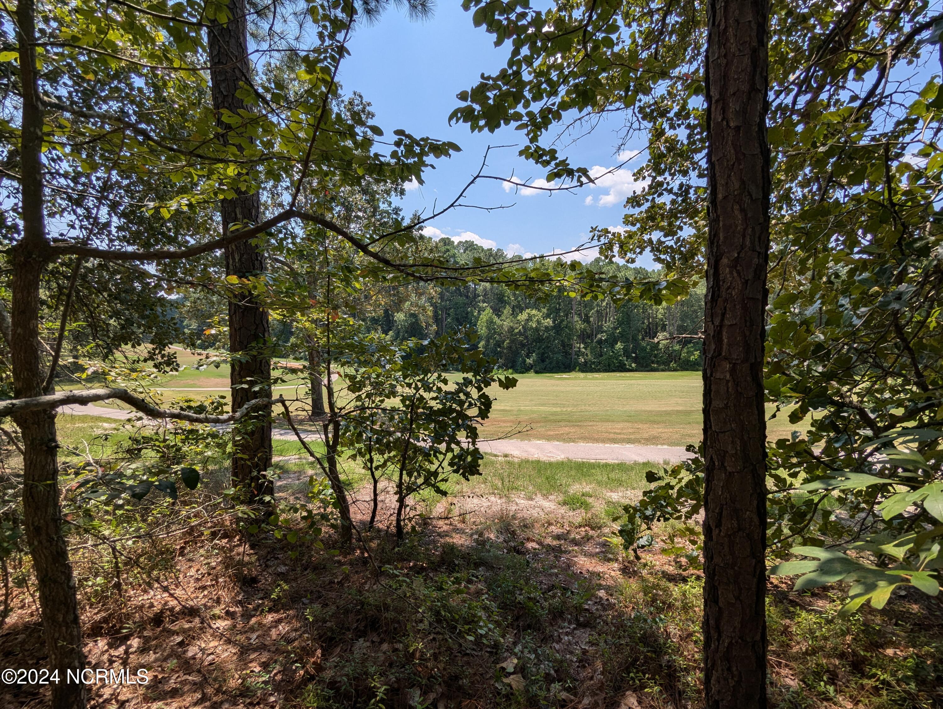 445 Thimbleberry Drive, Vass, NC, 28394