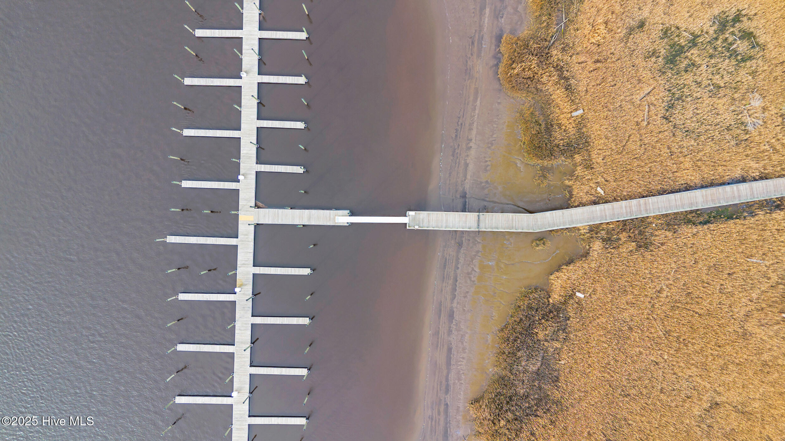 100564595 | Photo 15