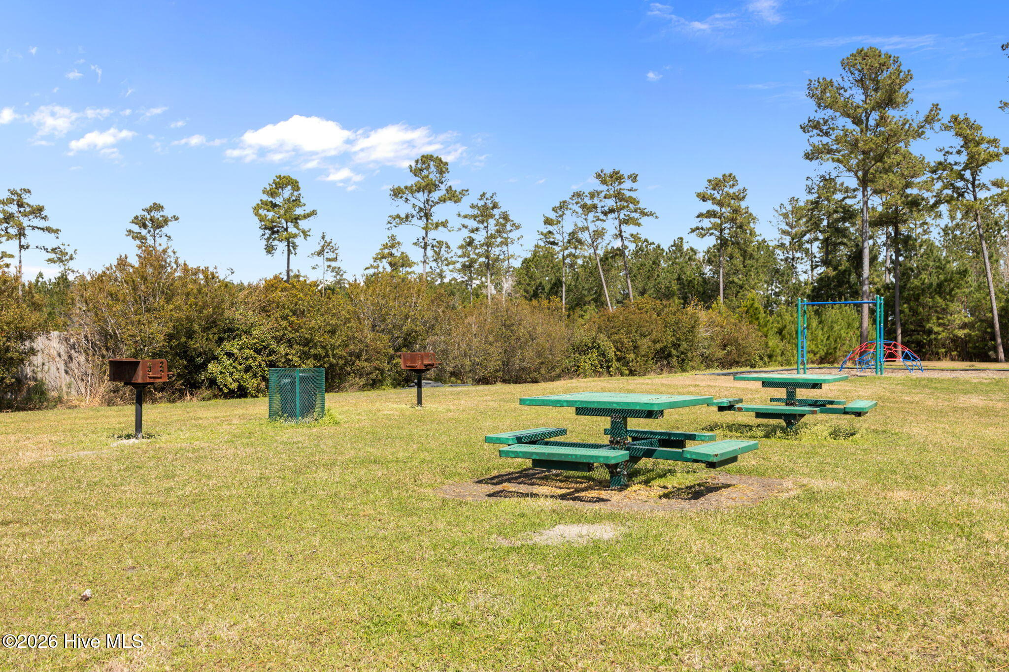 100561827 | Photo 49