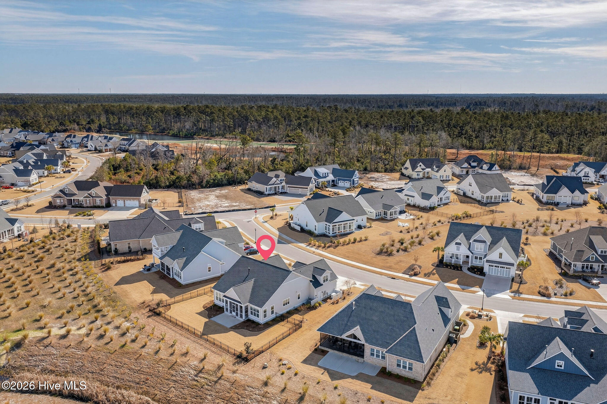 100556819 | Photo 43