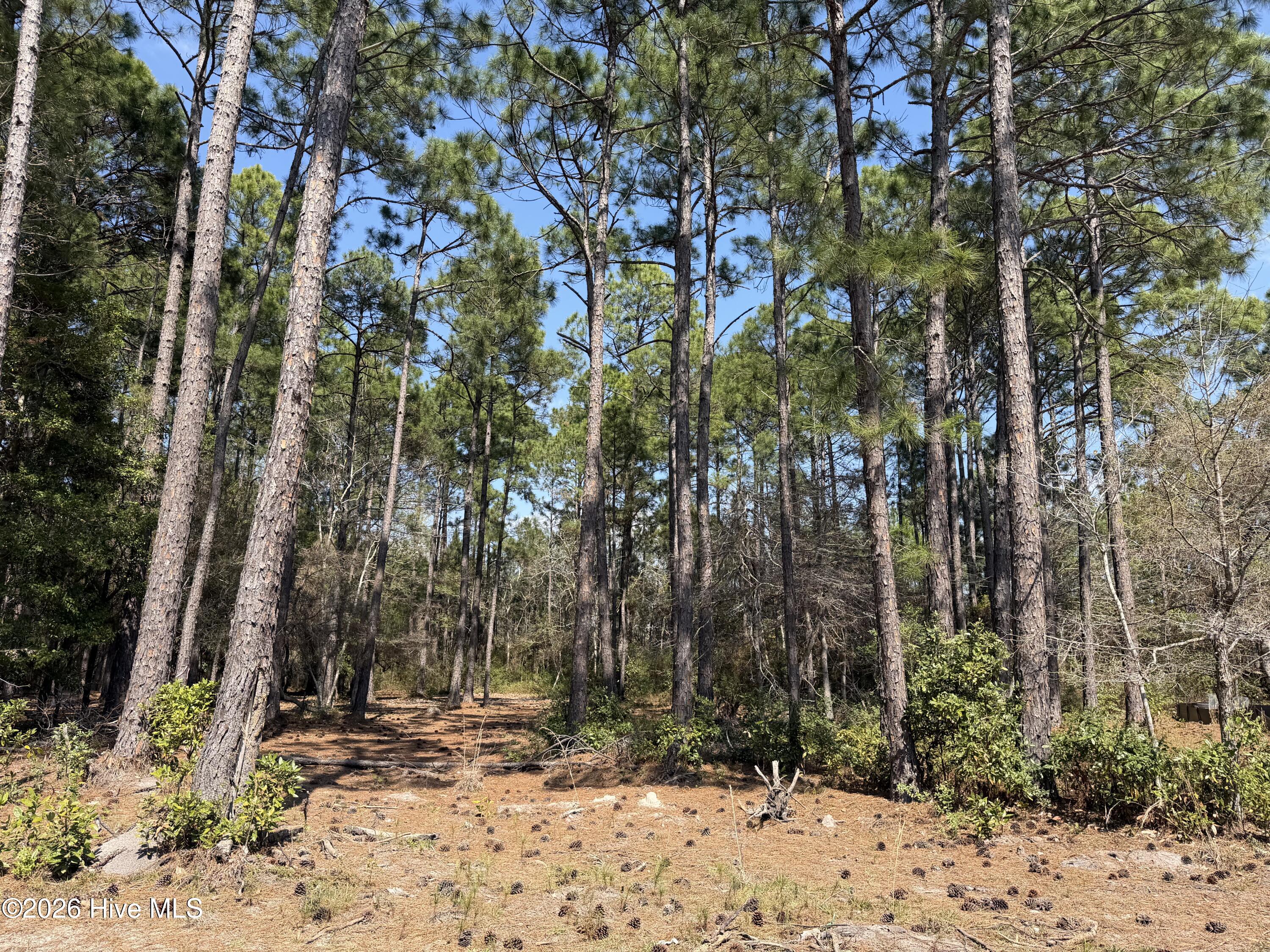 6786 Holton Place, Ocean Isle Beach, NC, 28469