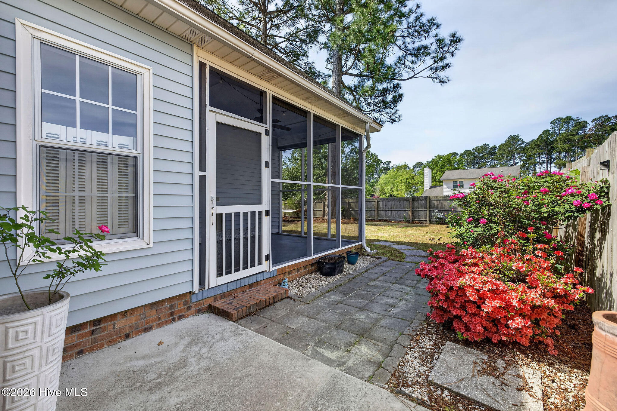 100567707 | Photo 14