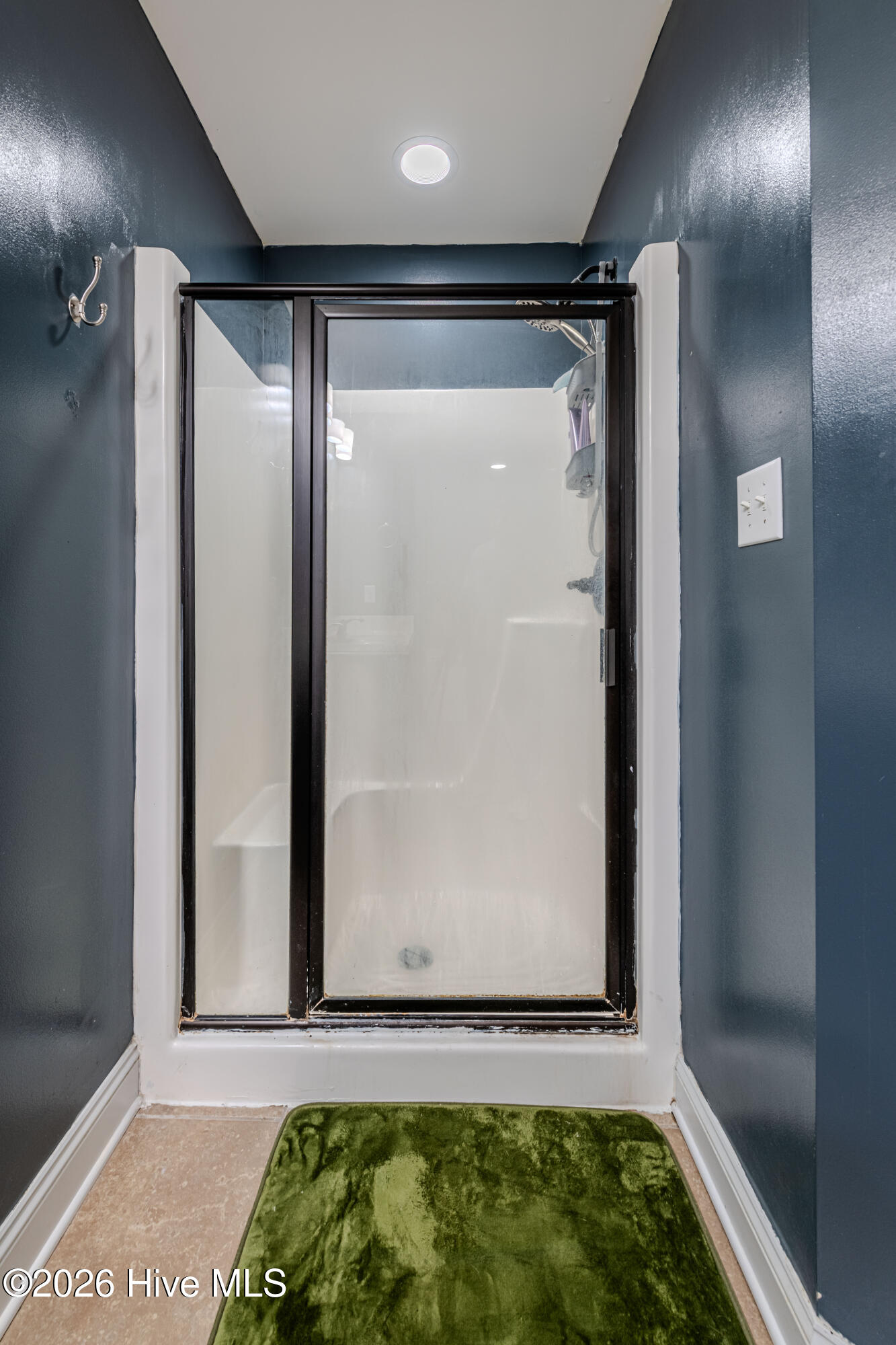 100555095 | Photo 25