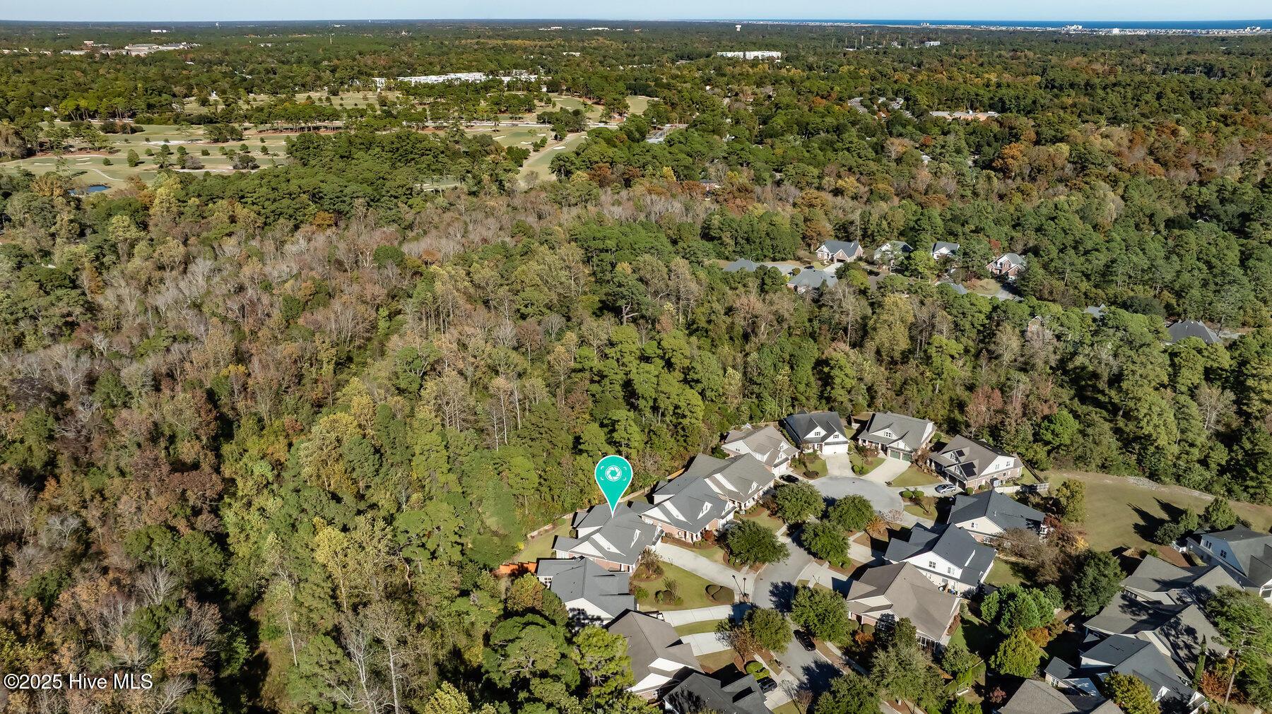 100540144 | Photo 51