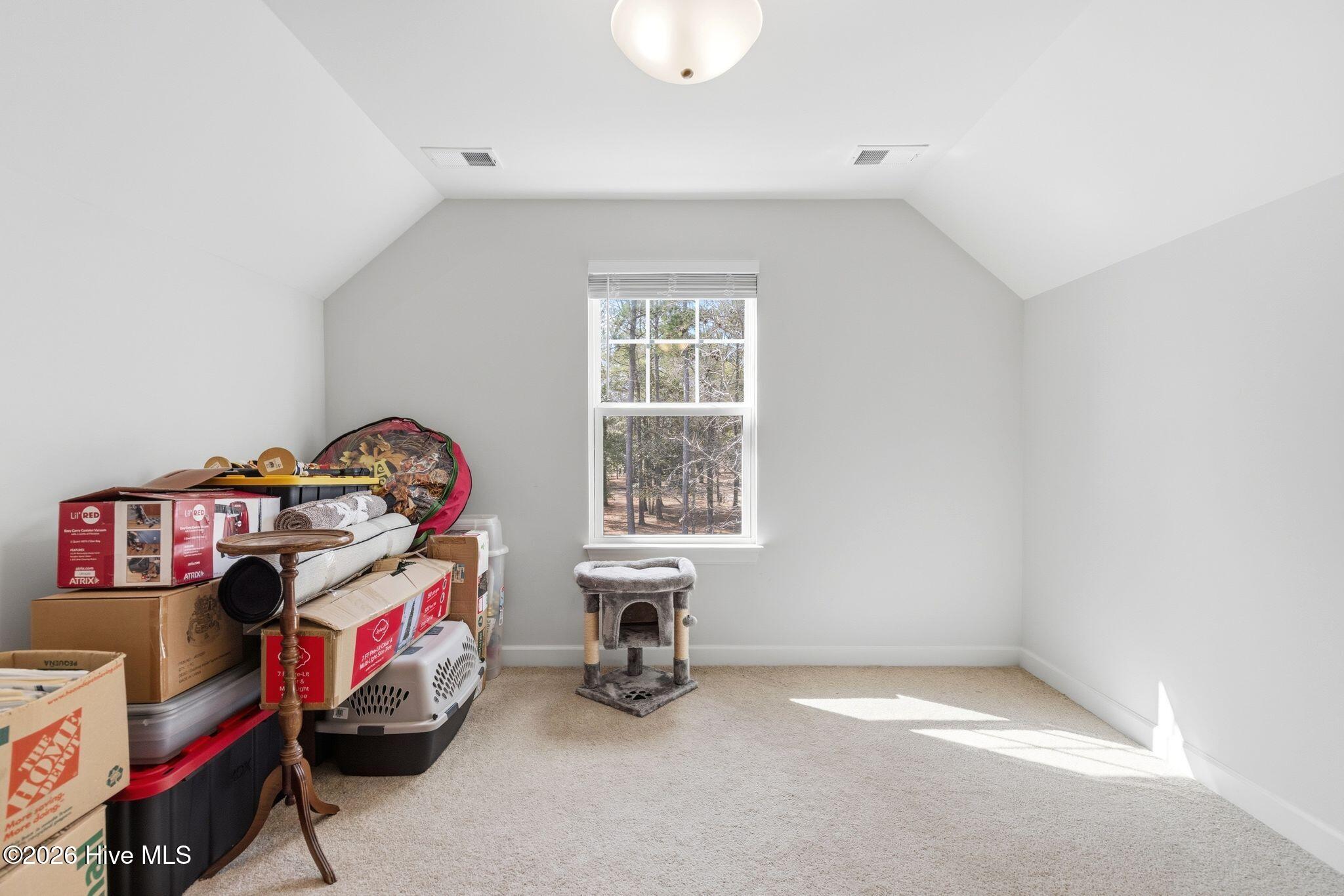 100558681 | Photo 37