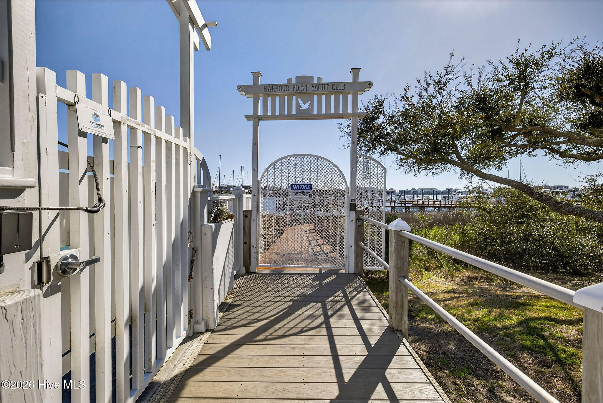 100562225 | Photo 51