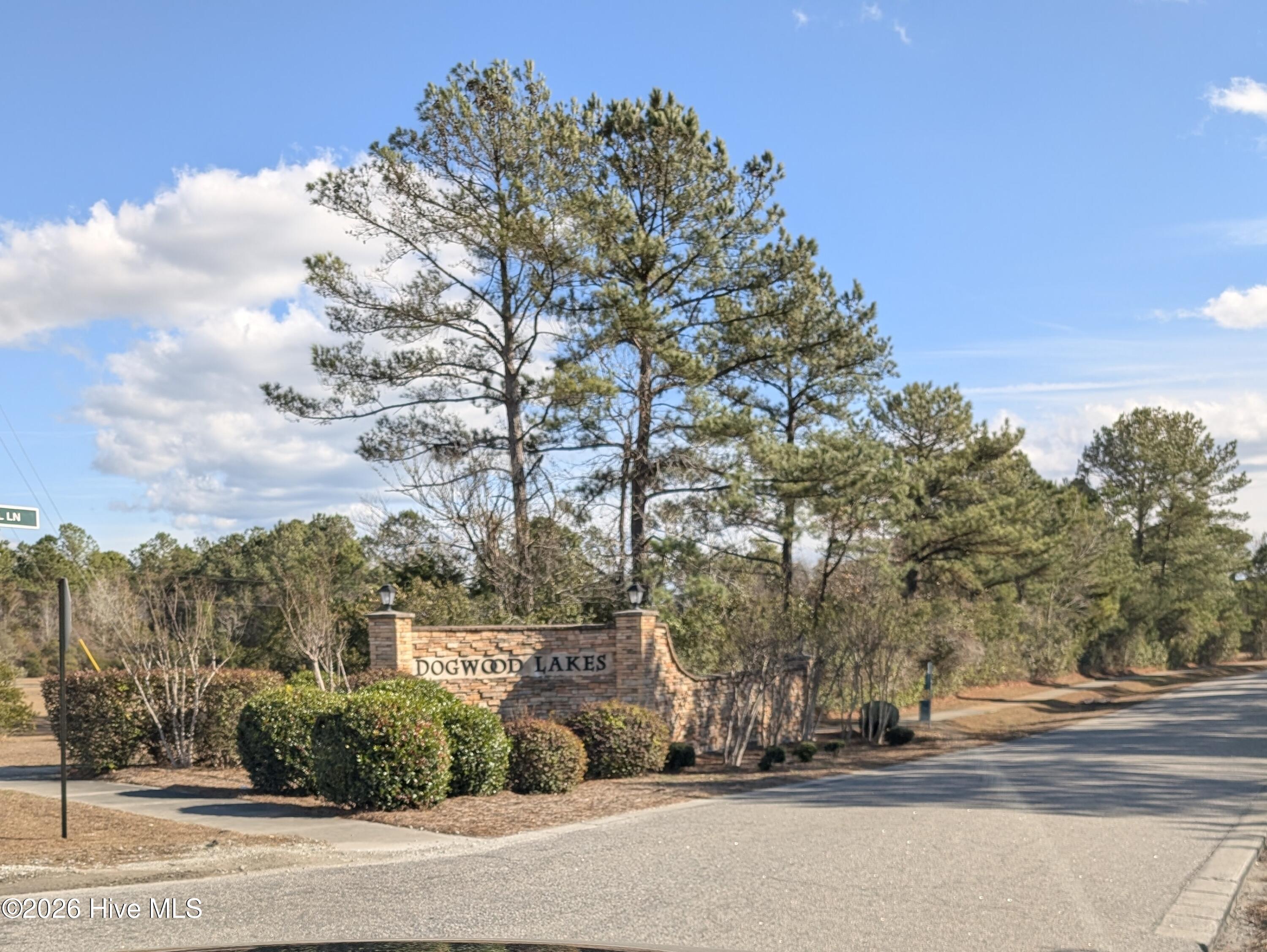 100550556 | Photo 25