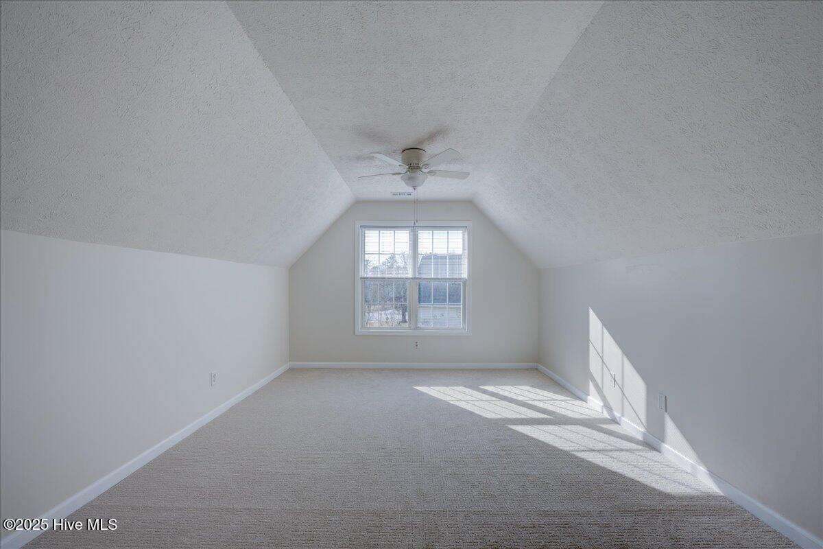 100546036 | Photo 53