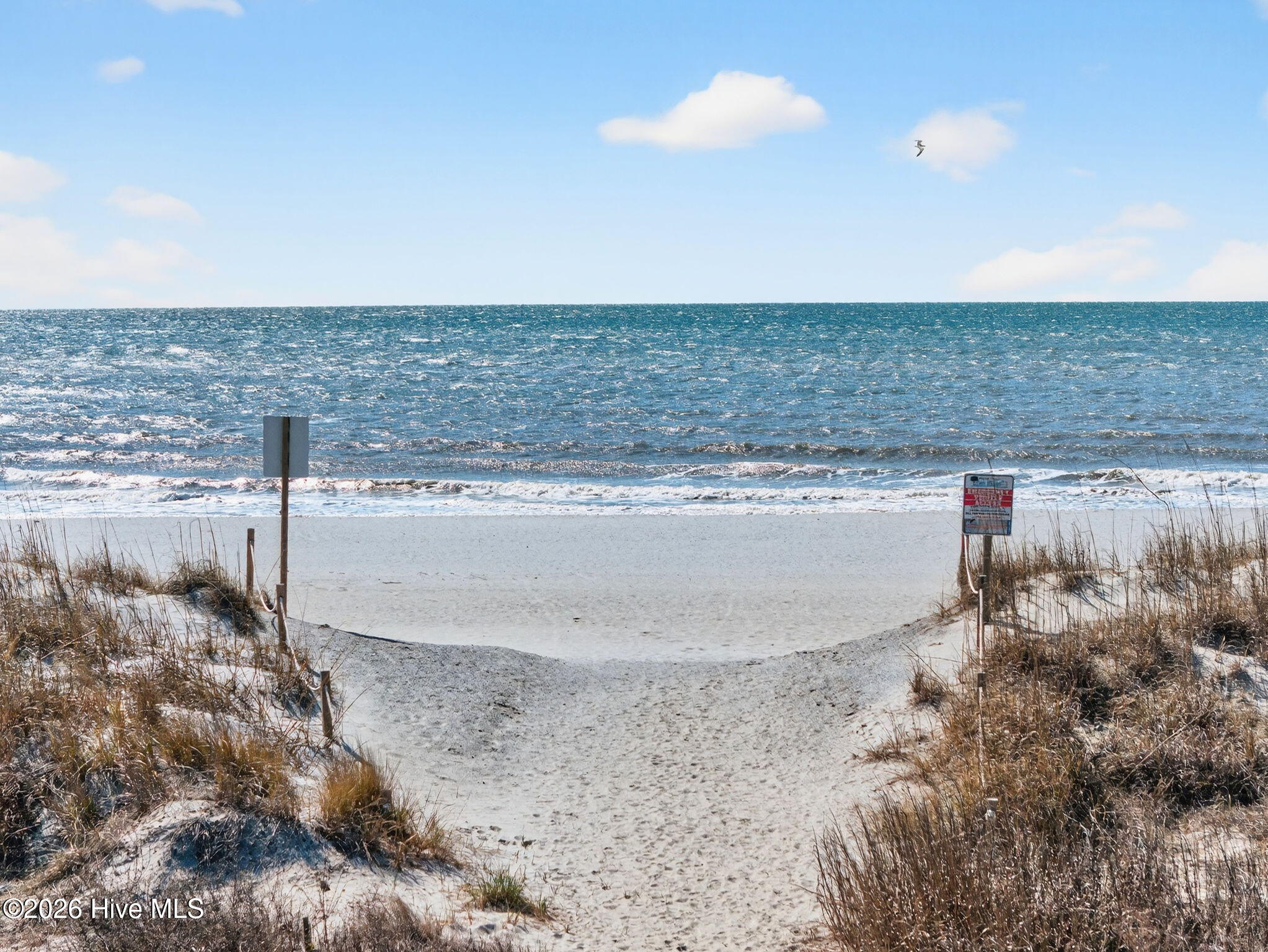 100556711 | Photo 56