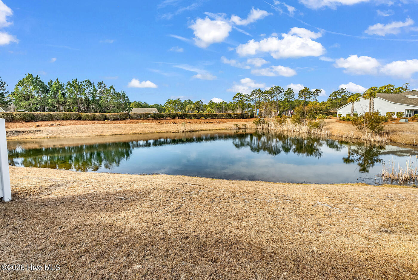 100553635 | Photo 25