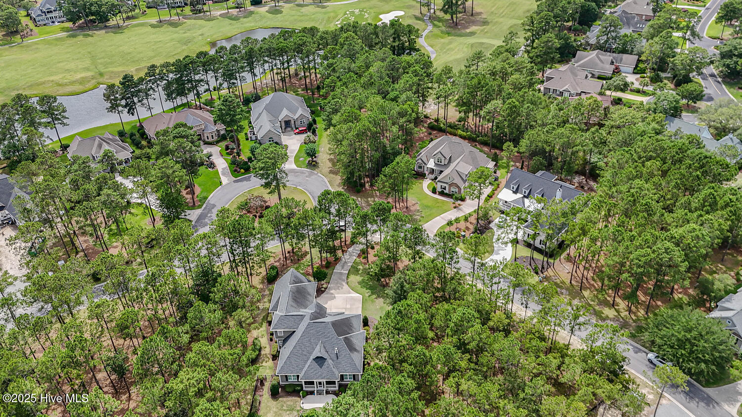 100566478 | Photo 62