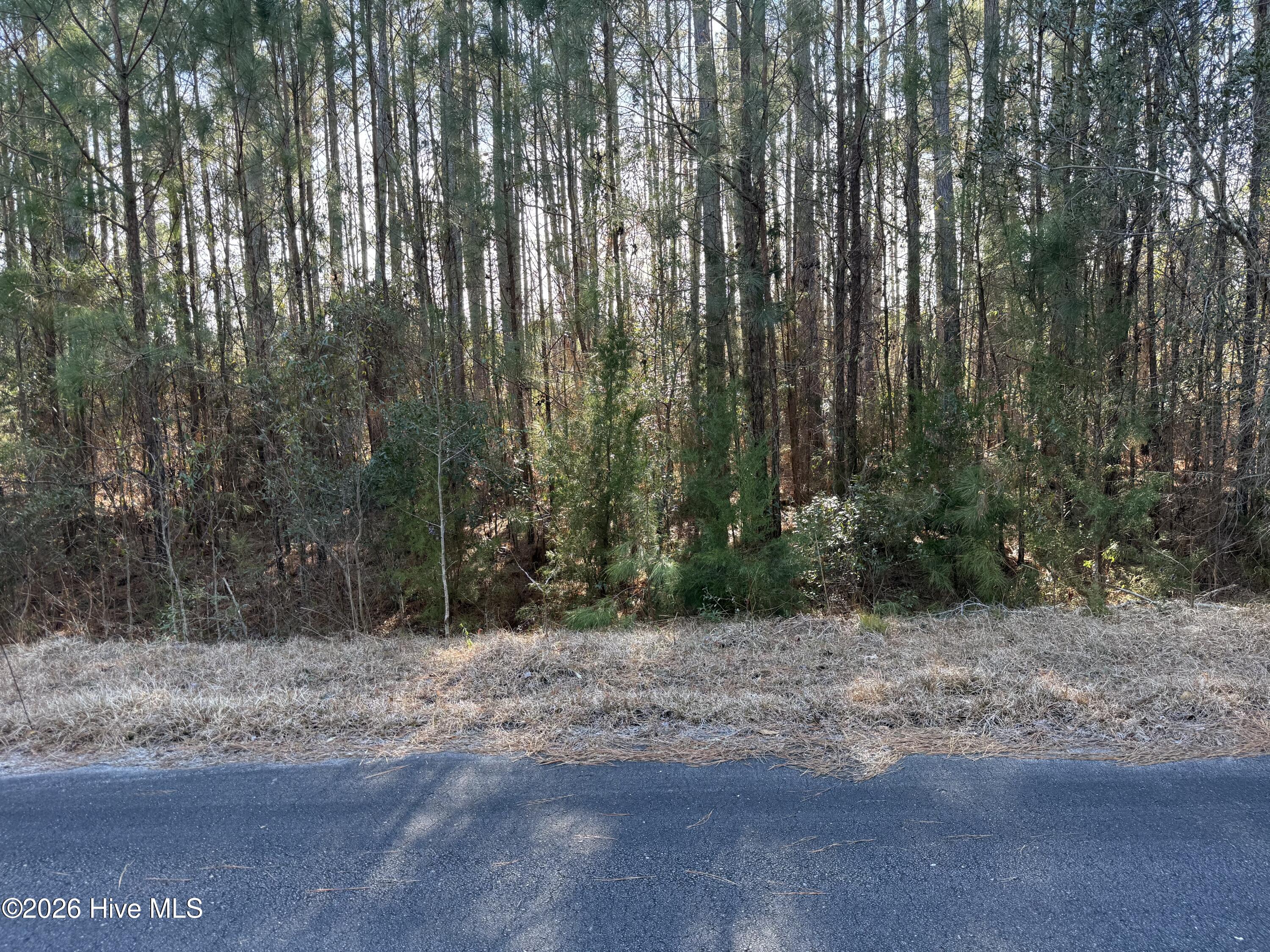 120 Water Oak, Oriental, North Carolina, 0 ,Residential Lot,For sale,Water Oak,100561372 120 Water Oak, Oriental, North Carolina, 0 ,Residential Lot,For sale,Water Oak,100561372