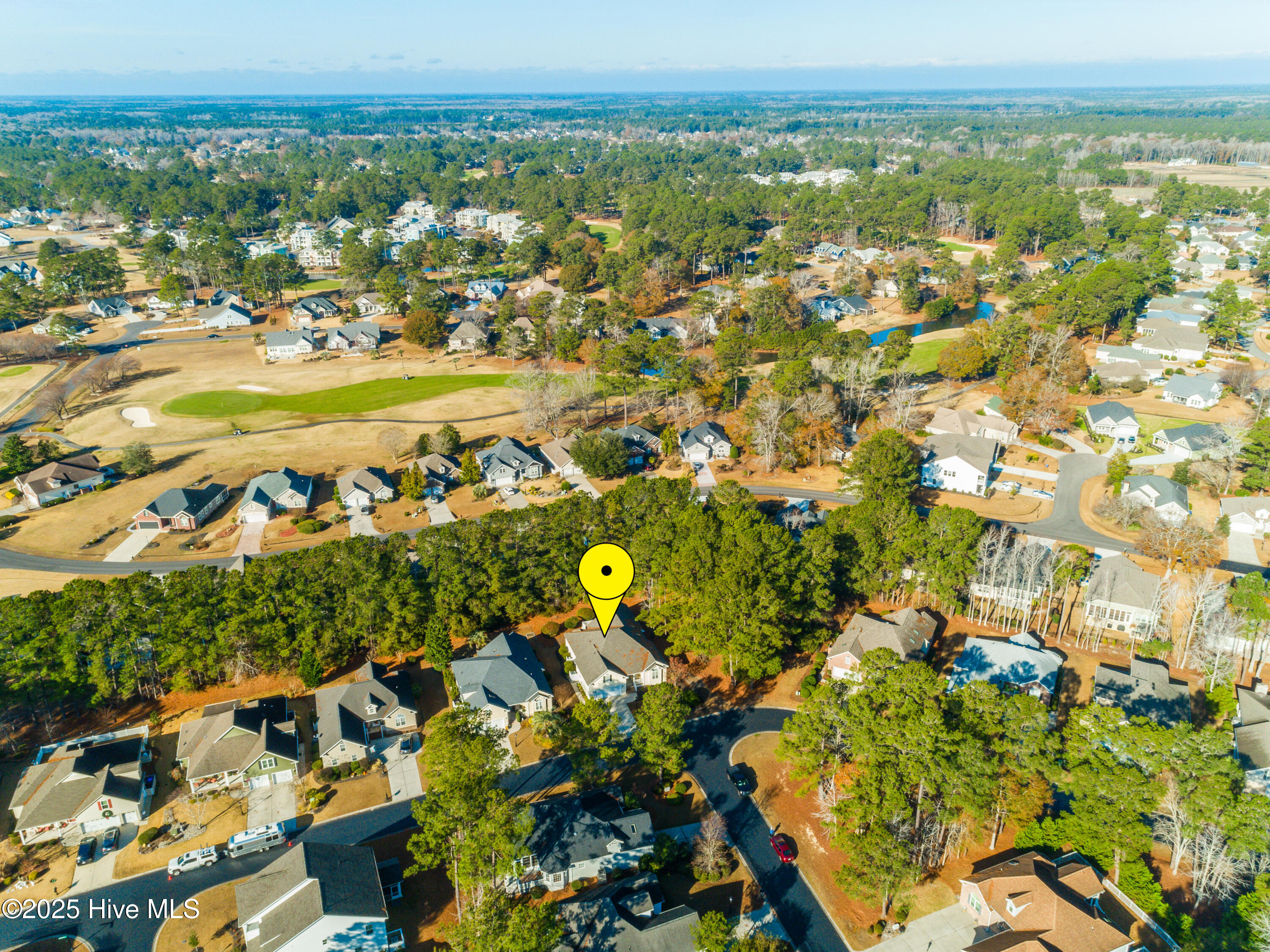 100547083 | Photo 33