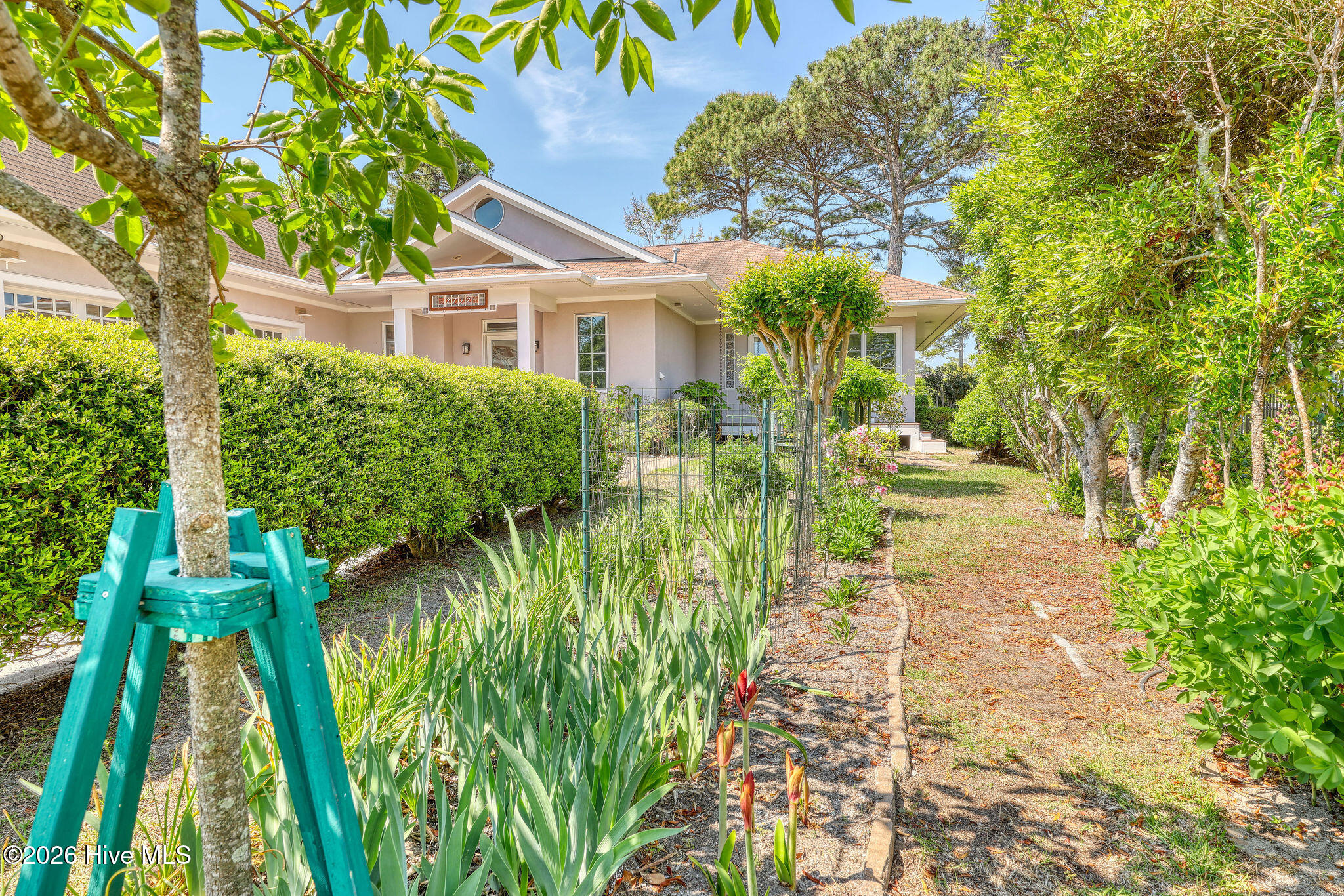 100569152 | Photo 55