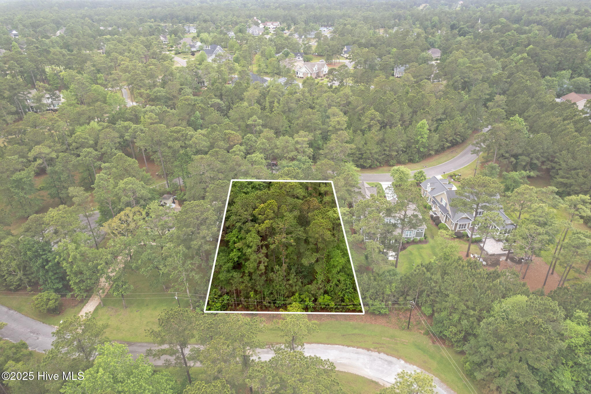 100507516 | Photo 11