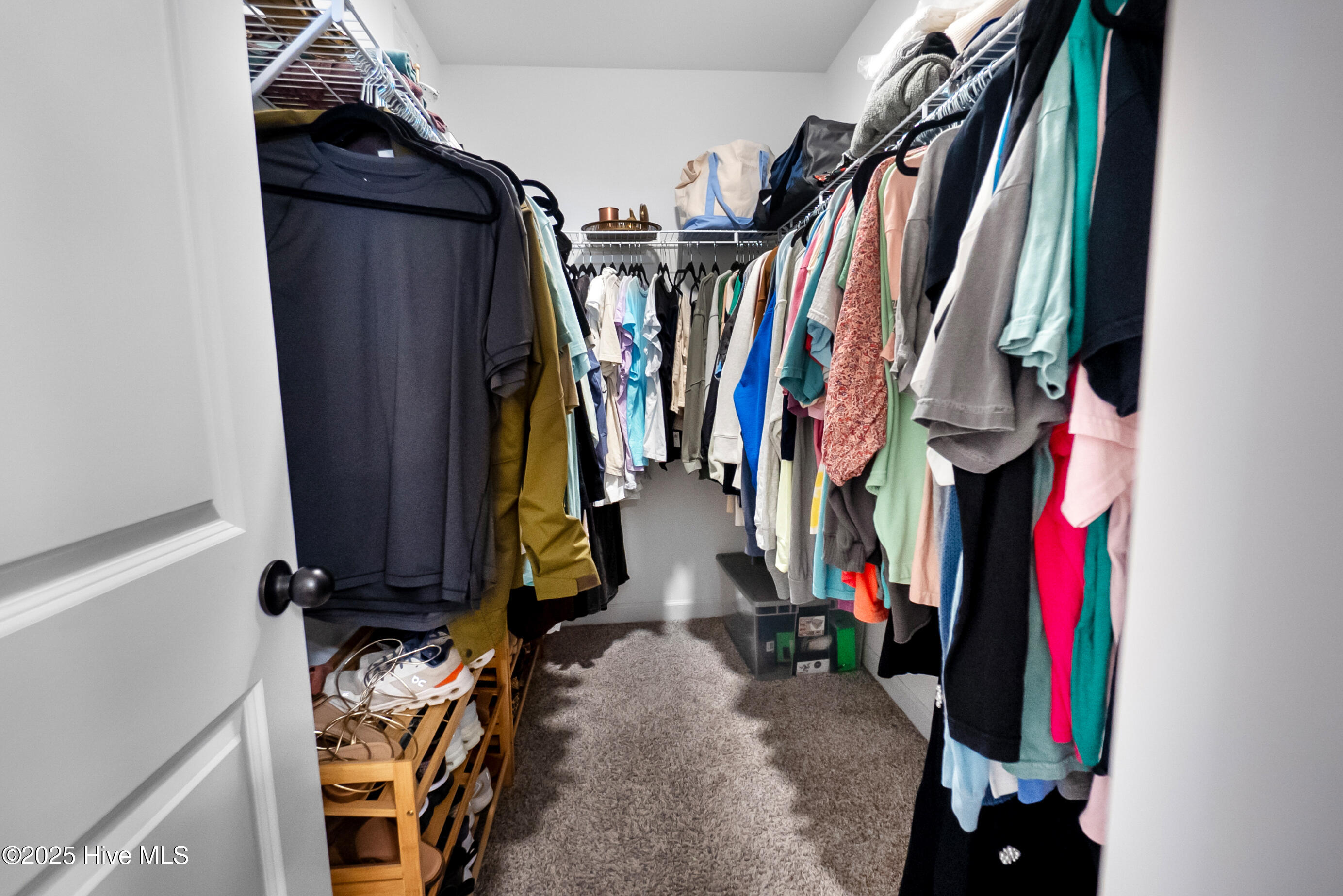 100545526 | Photo 18