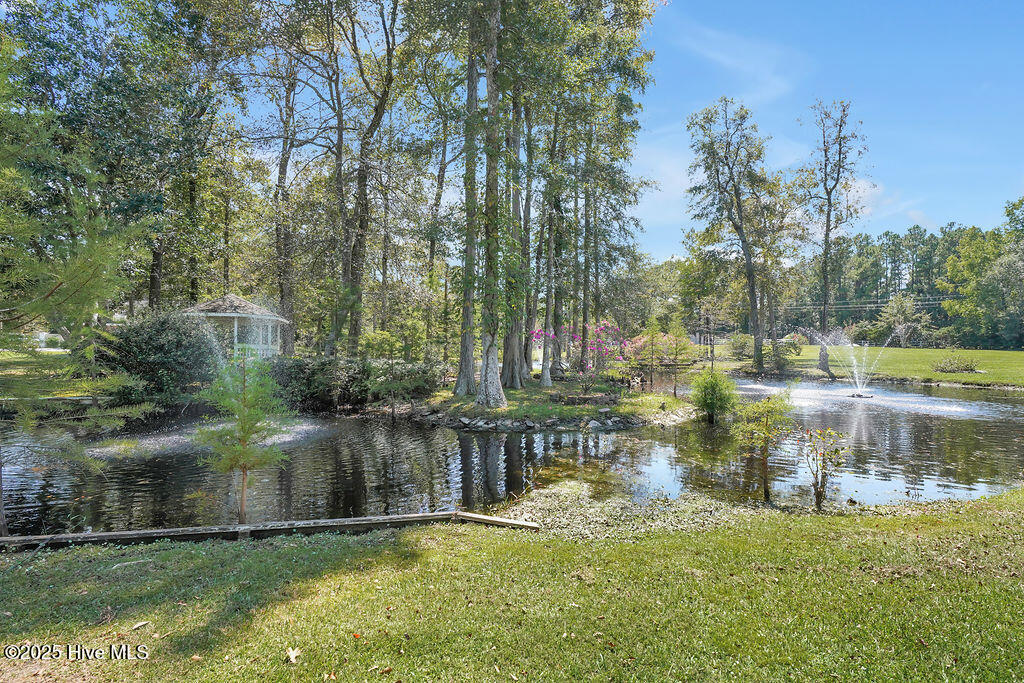 100529552 | Photo 53