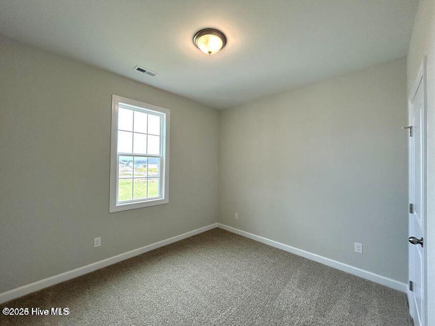 100553181 | Photo 24