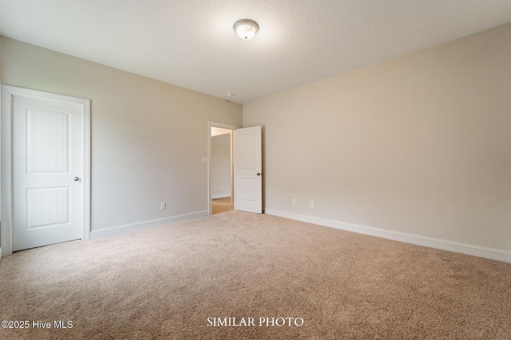 100546139 | Photo 25