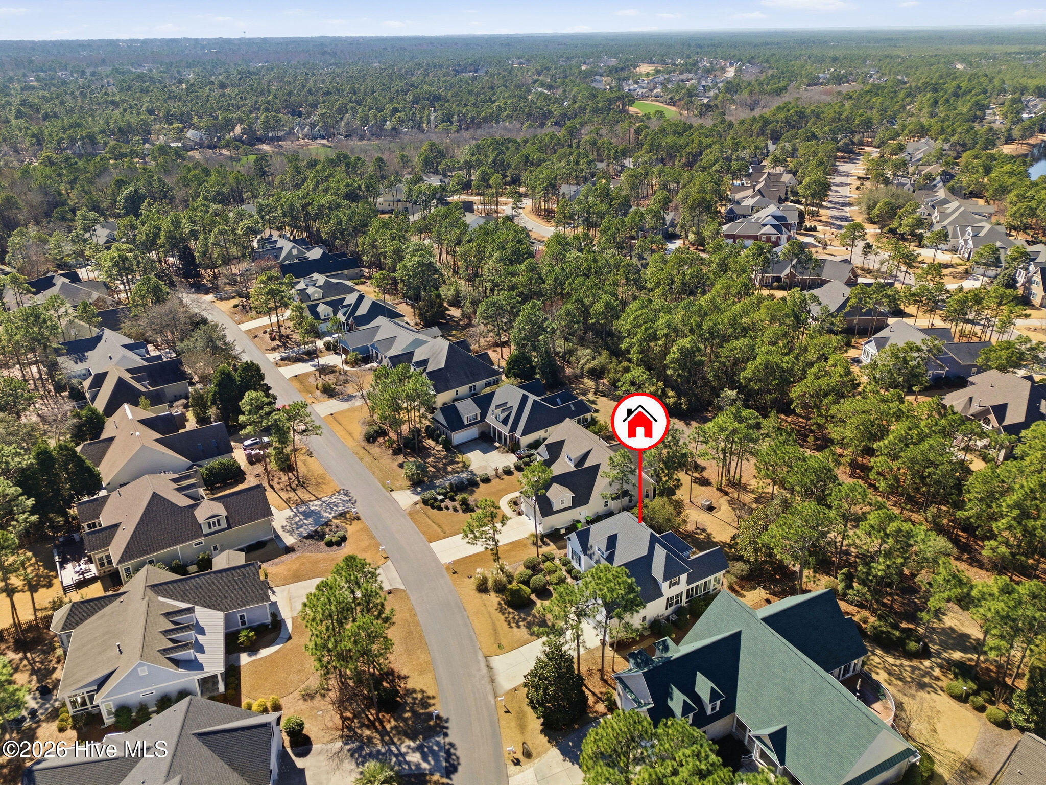 100558304 | Photo 57