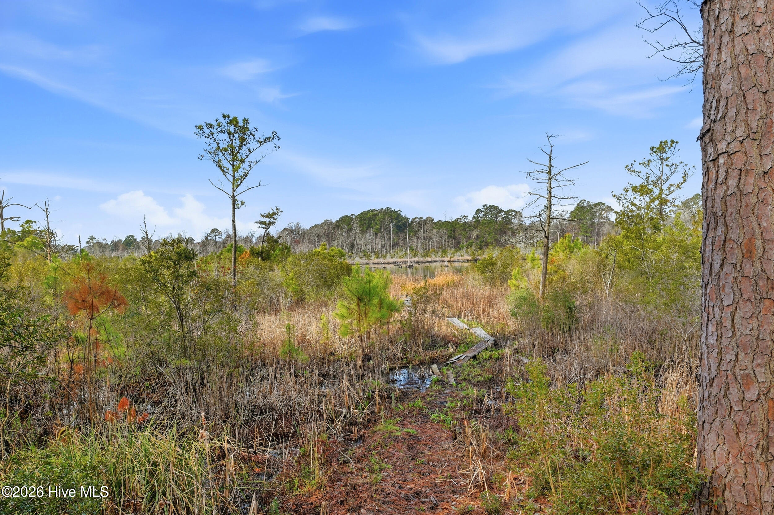 100559953 | Photo 50