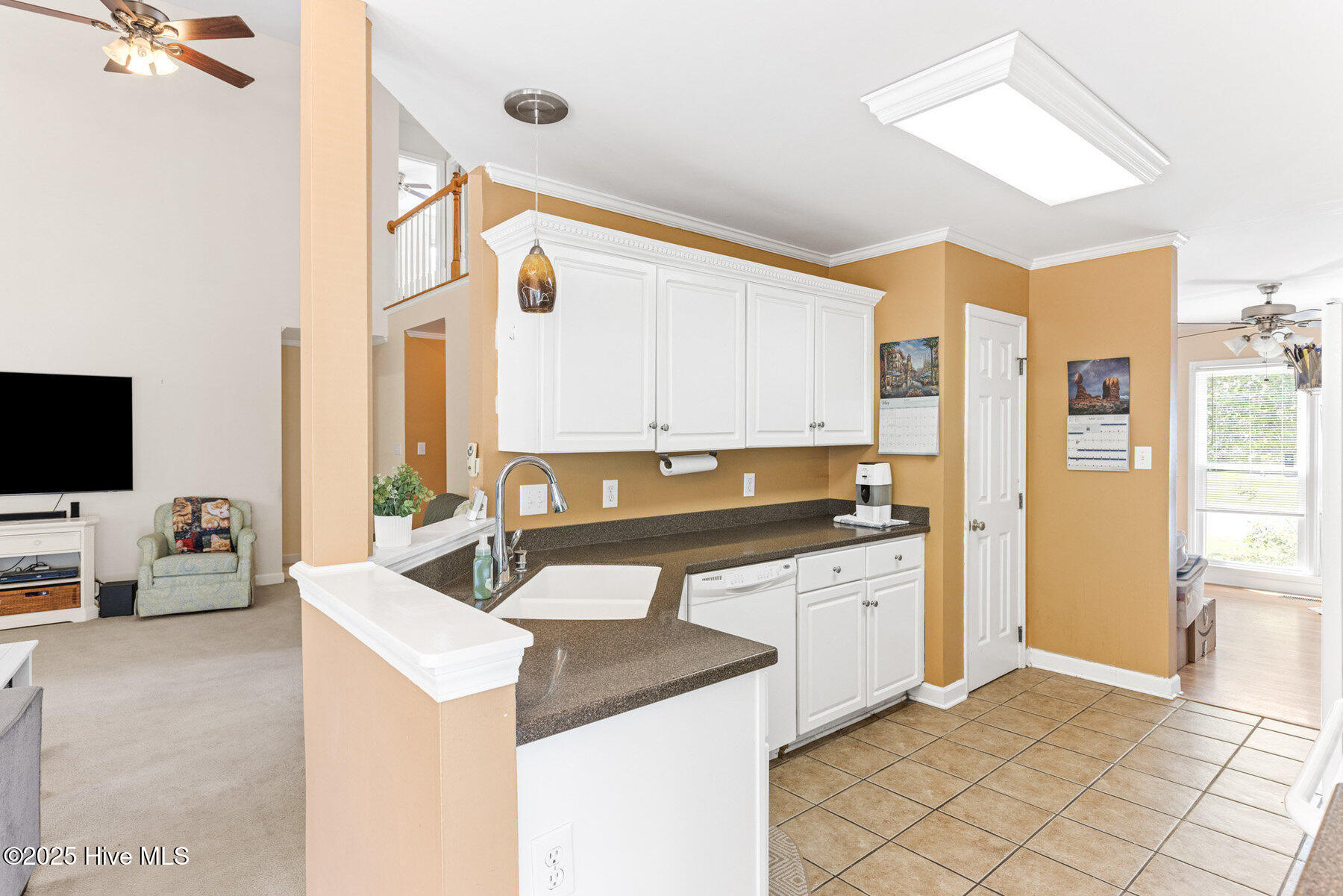 100505996 | Photo 18