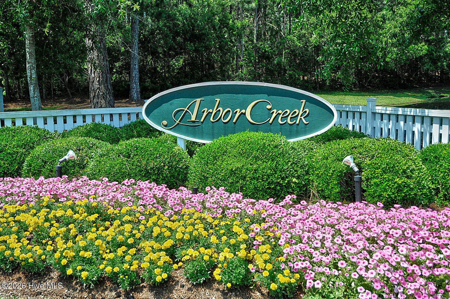 100553520 | Photo 38