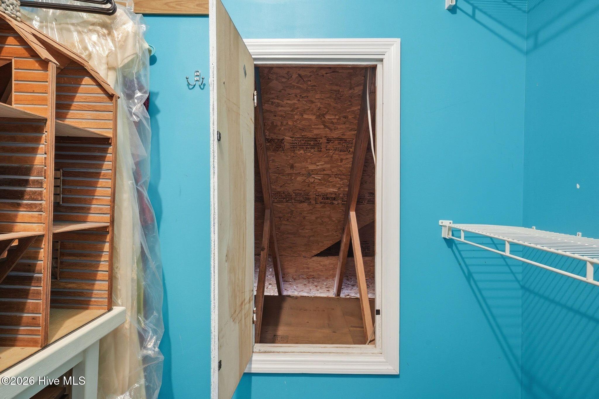 100557423 | Photo 39