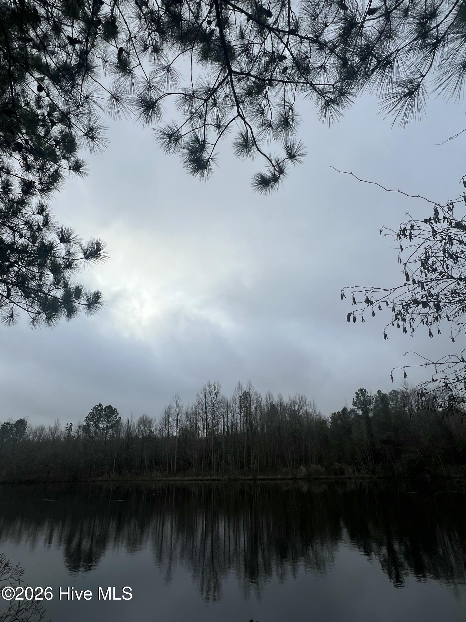 Homes for sale in Broadway, NC | 17 Ac #2, Bradley Rd, Broadway, NC 27505 | MLS# 100550793