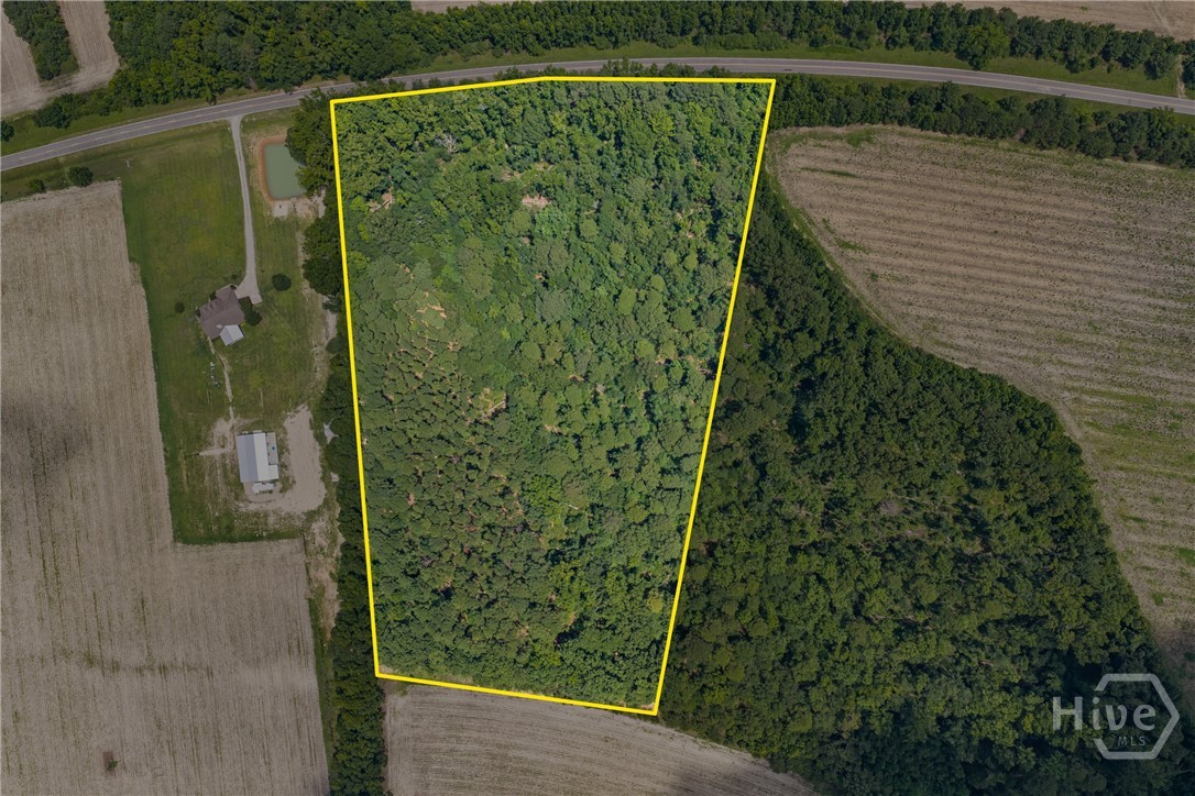1st image of 0 N Old River Road, Statesboro, GA 30425 | MLS# SA361592