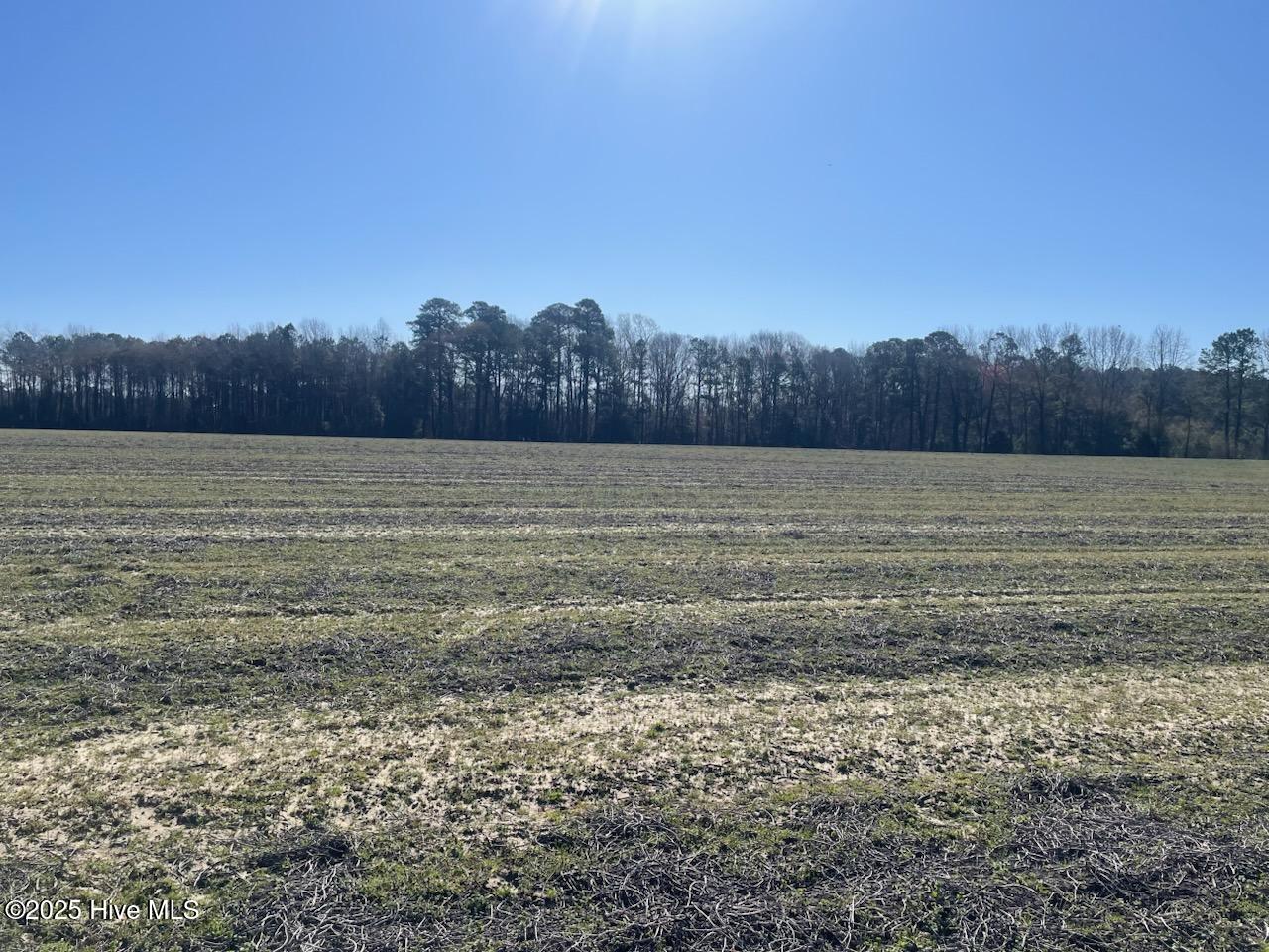 5635 Mckendree Church Road, Tarboro, NC, 27886