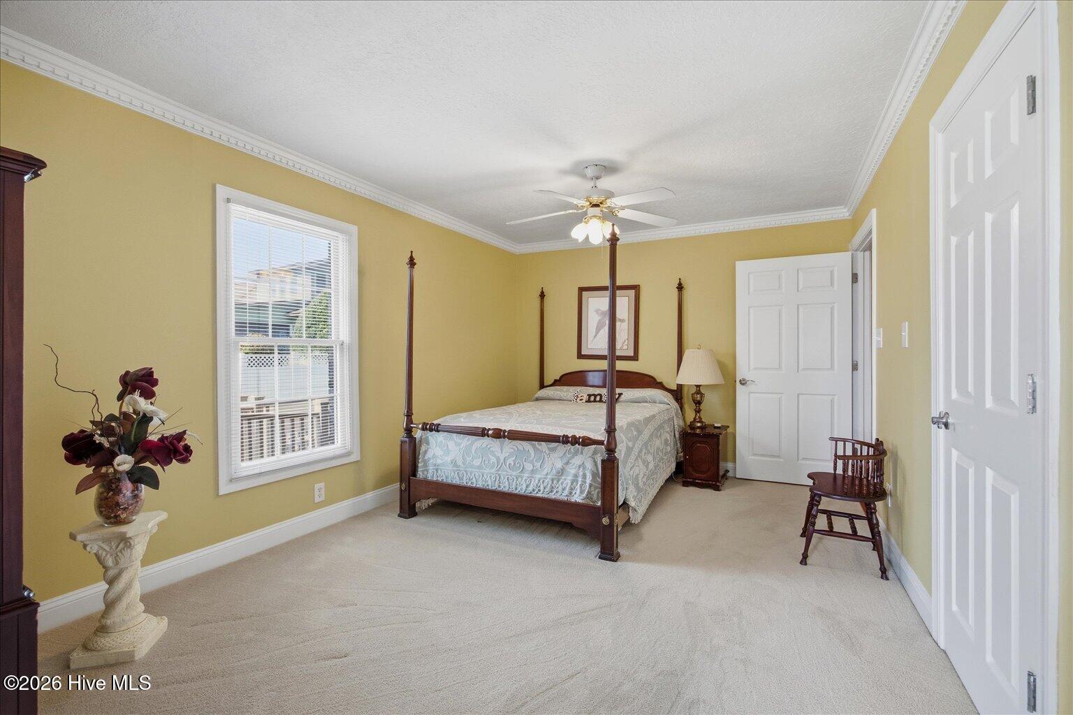 100560950 | Photo 31