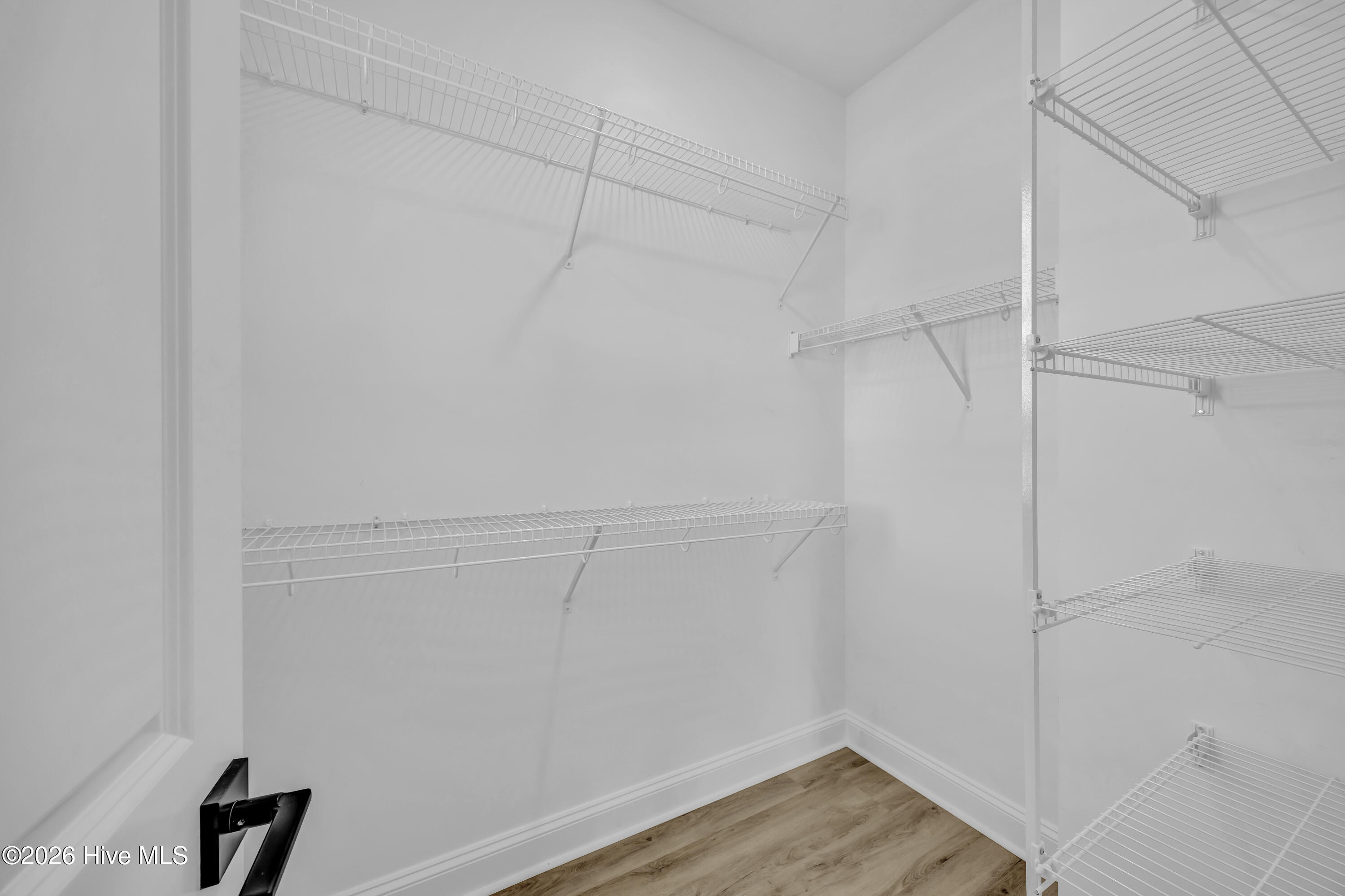 100565697 | Photo 24