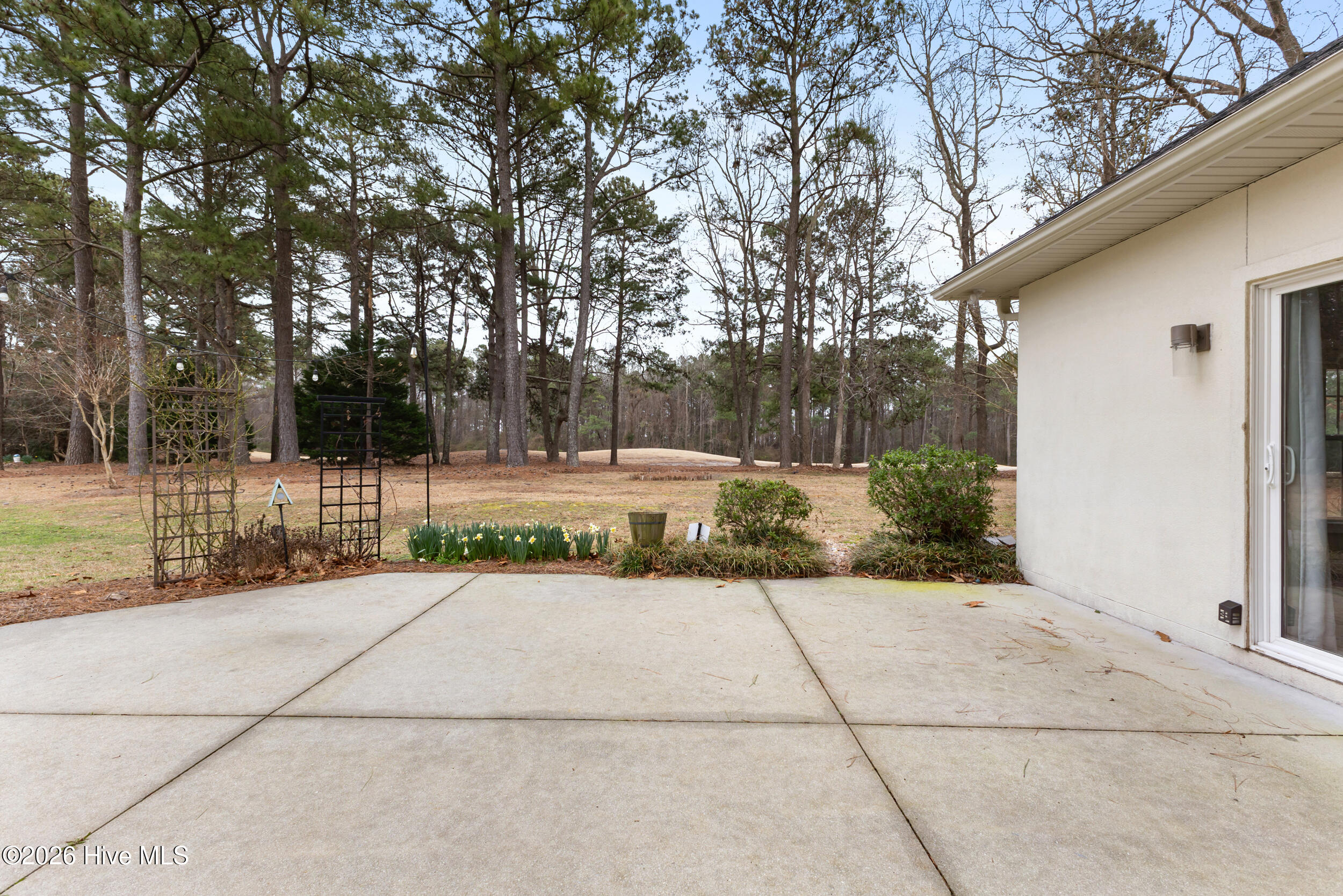 100557722 | Photo 37