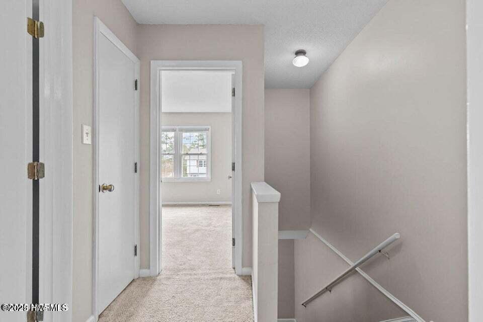 100565233 | Photo 10