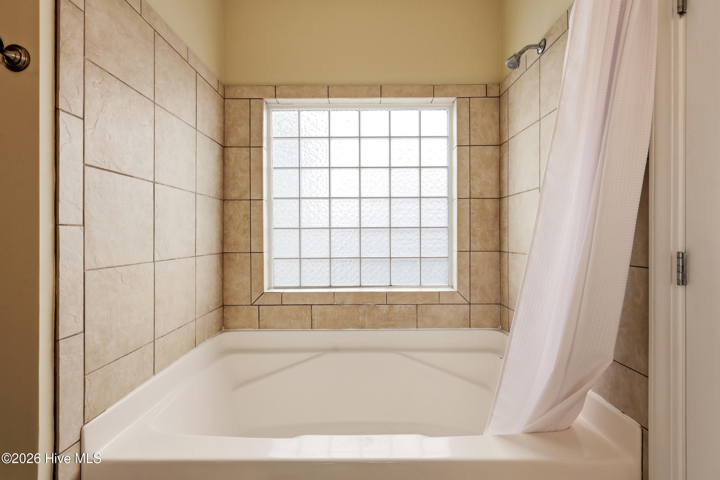 100562364 | Photo 19