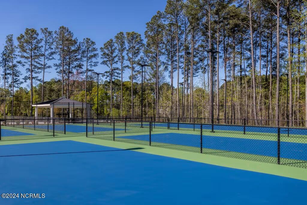 7607 Gorse Drive, Leland, NC 28479 – photo 17: lifestyle 12