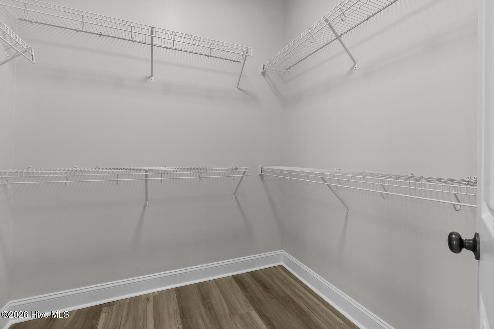 100562904 | Photo 19