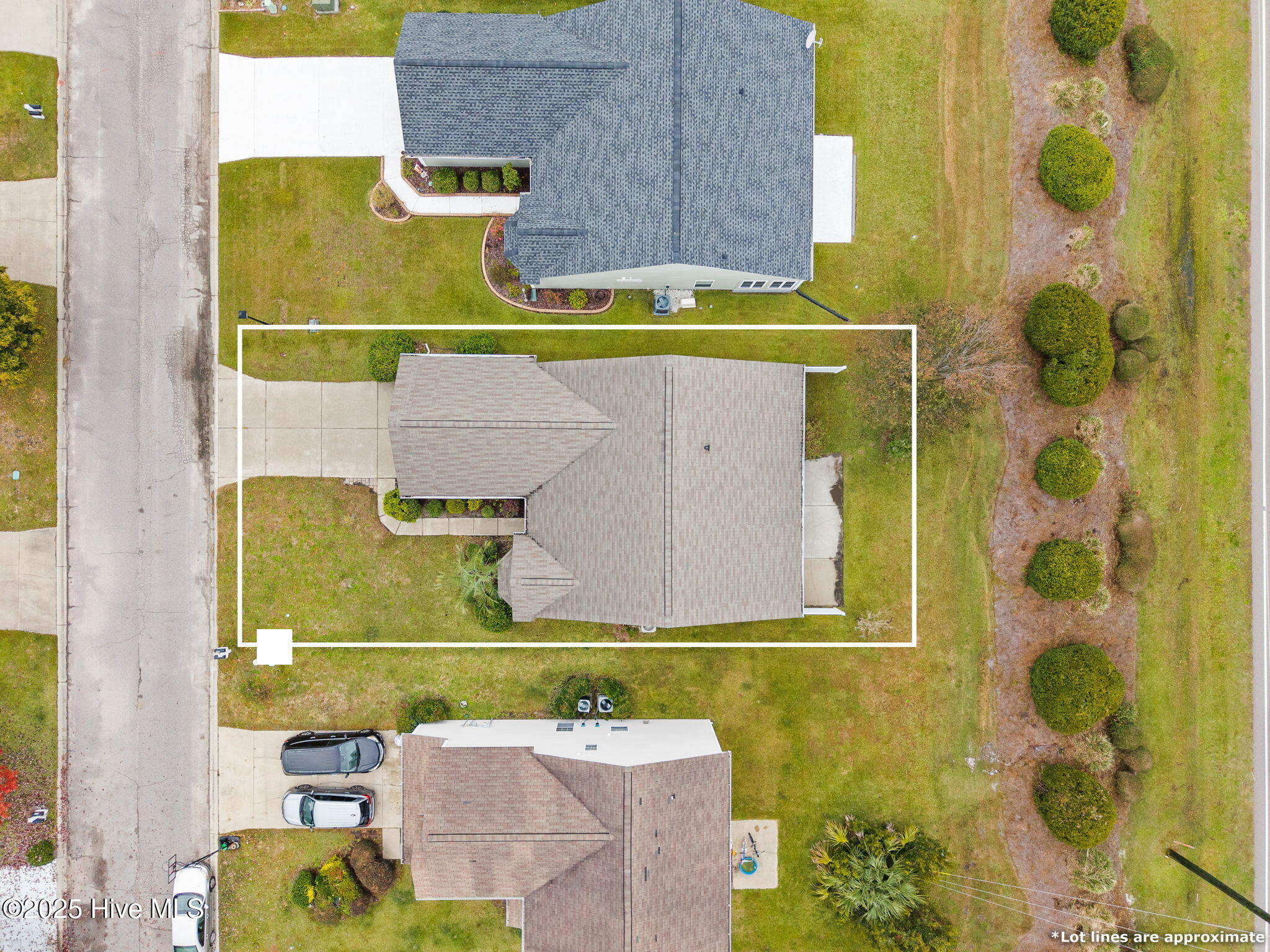 100536152 | Photo 13