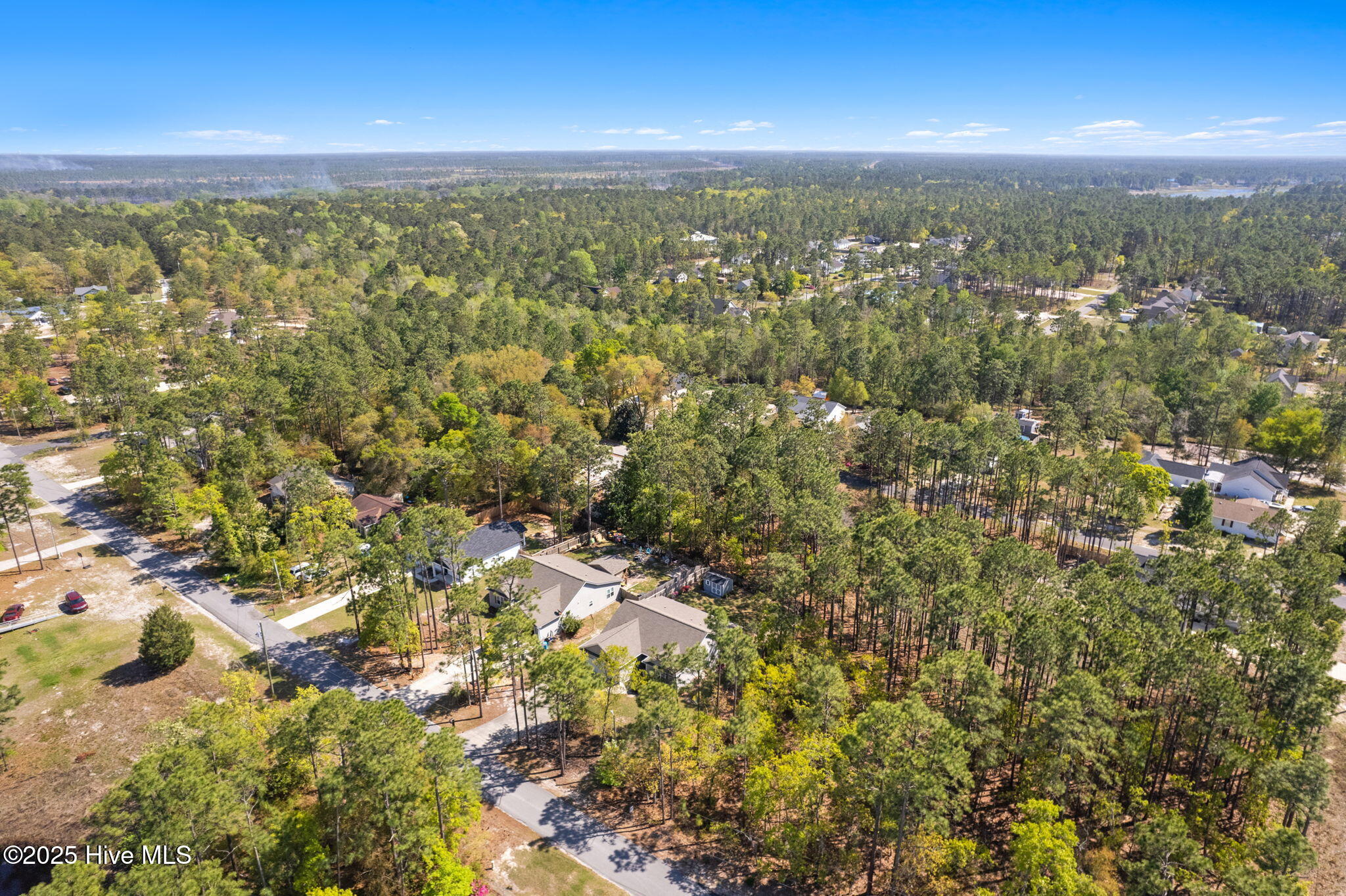 100501996 | Photo 42