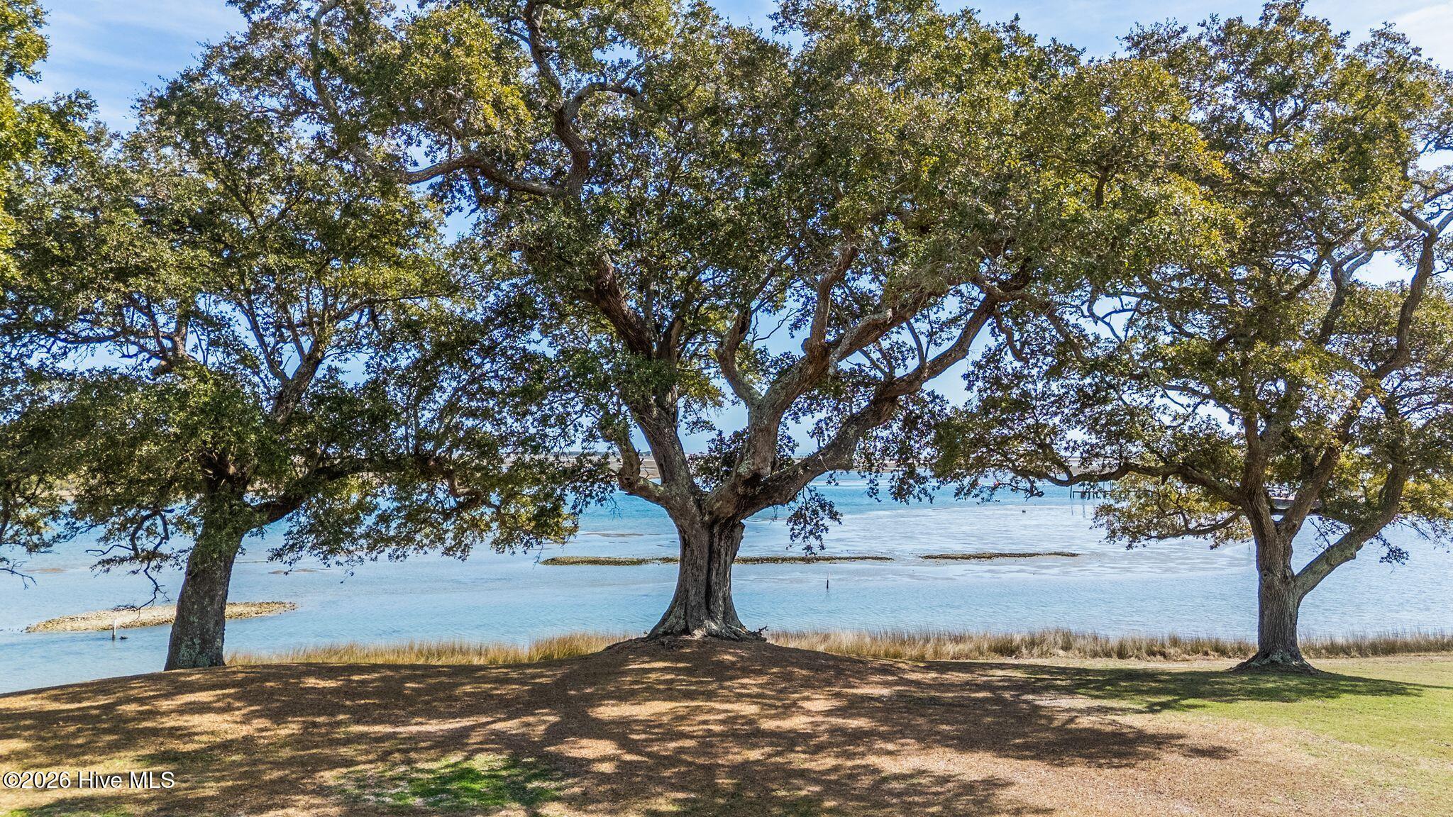 100559816 | Photo 24