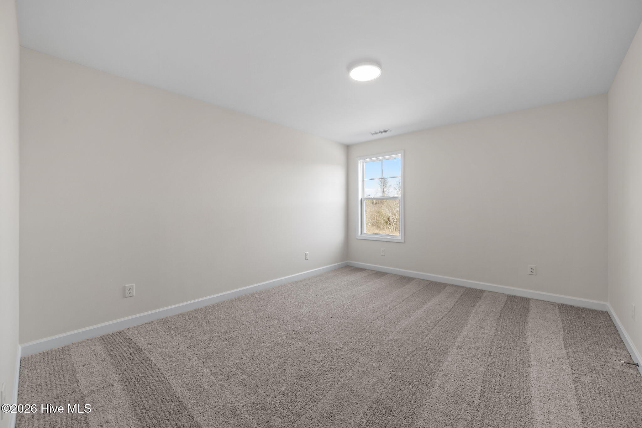 100554562 | Photo 35